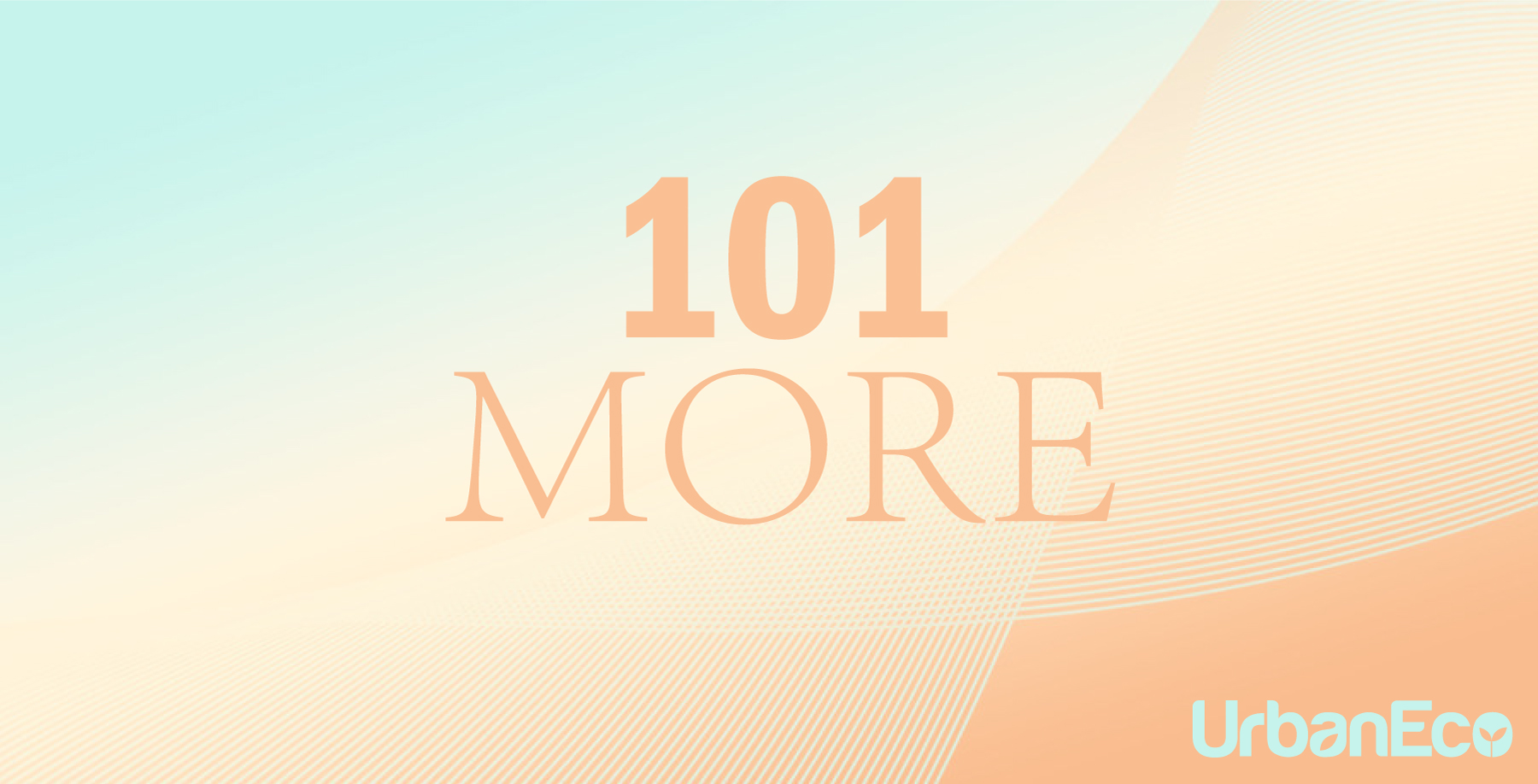 2021 101 MORE