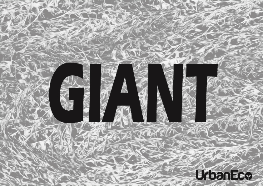 2022 GIANT